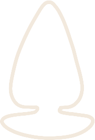 illustration of a butt plug