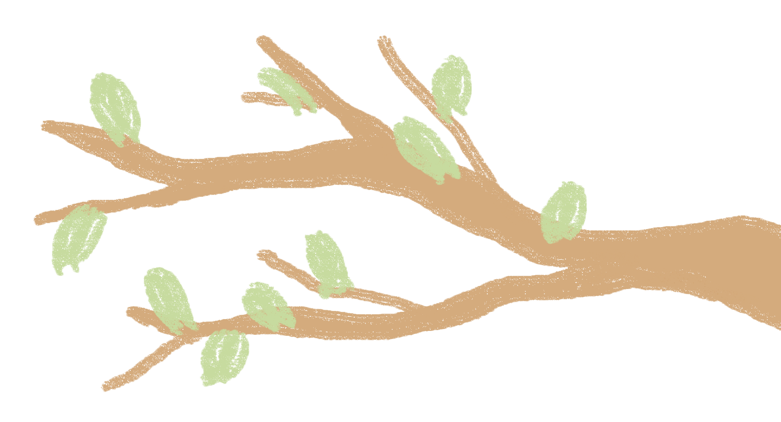 Tree branch illustration
