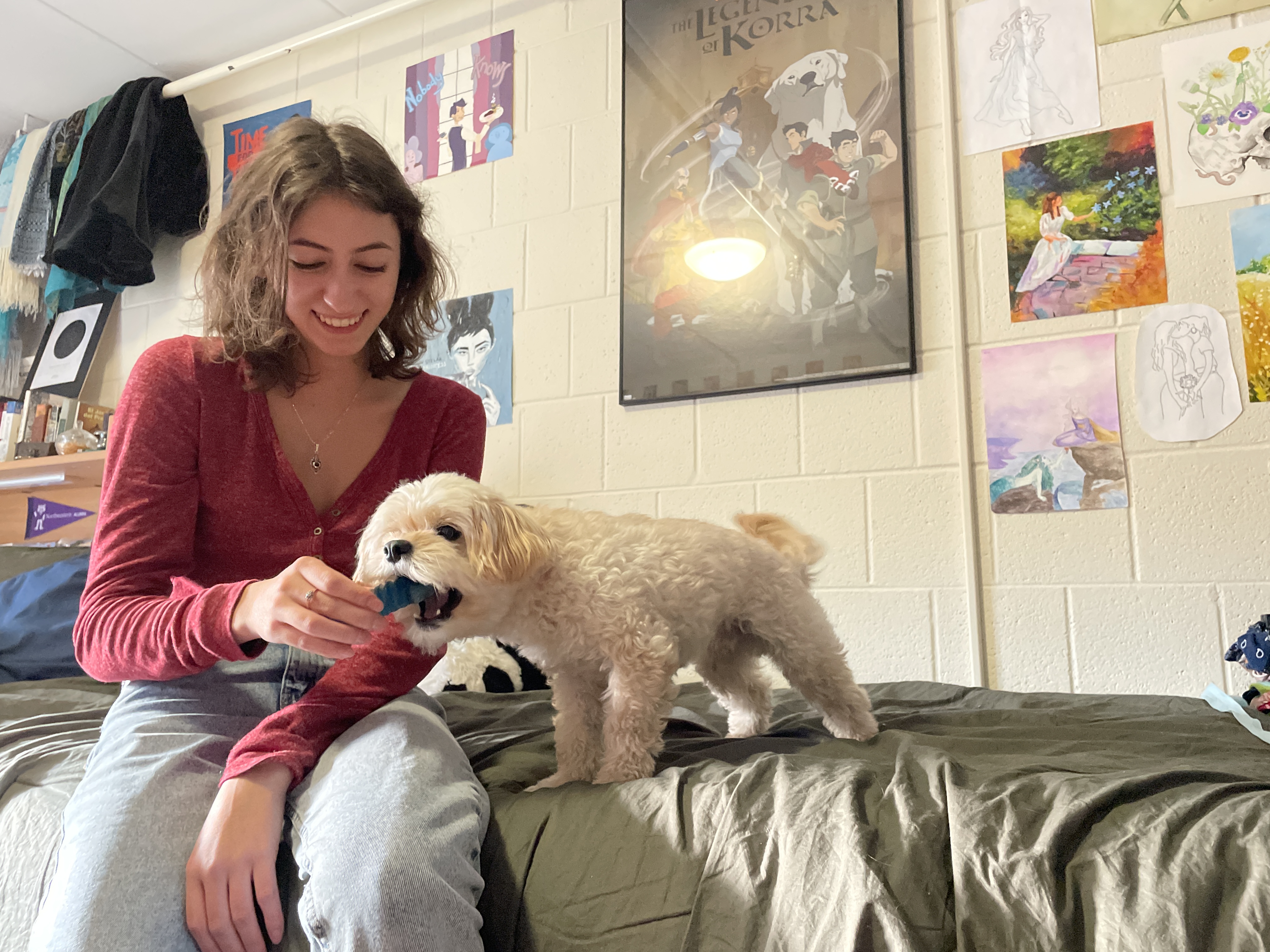 Hero and Mikolic-Berrios sit on her dorm bed while Mikolic-Berrios holds a bone-shaped chew toy for Hero to bite.