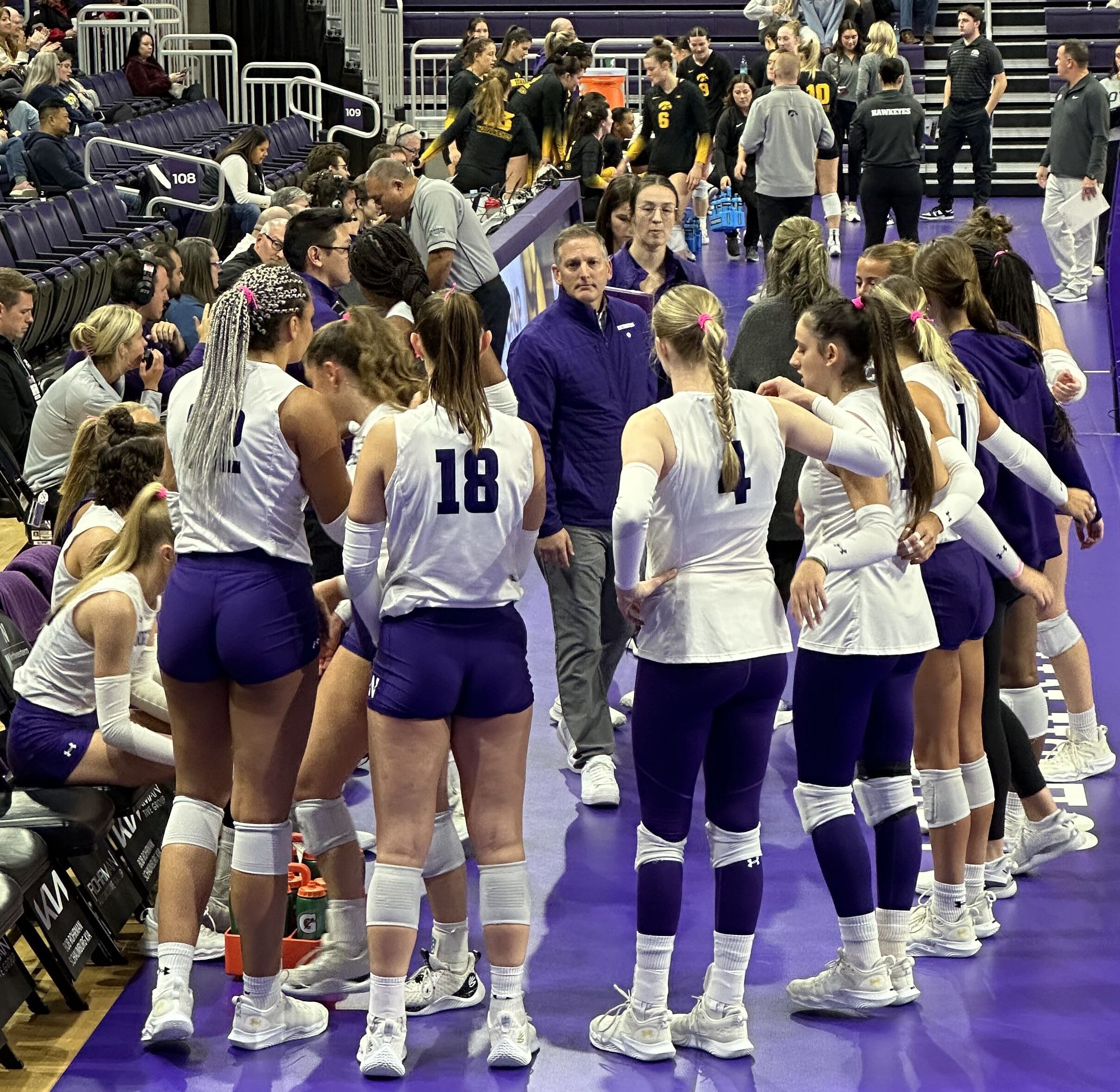 At a Glance: 2024 Northwestern Volleyball