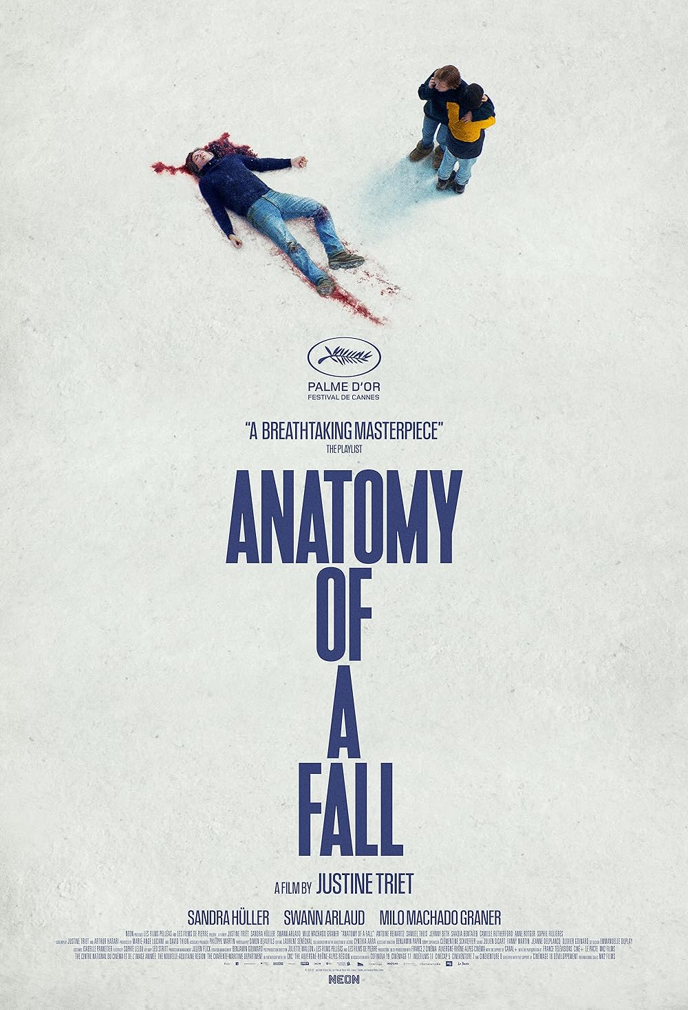 “Anatomy of a Fall” is a serene but daring courtroom character study