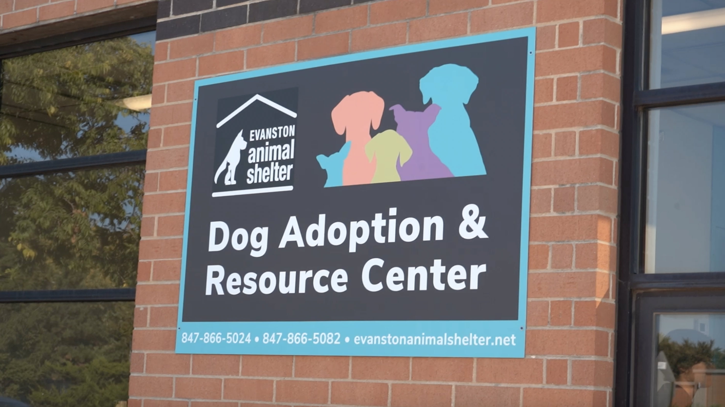 A temporary home and animal medical center, the Evanston Animal Shelter is a haven for furry friends