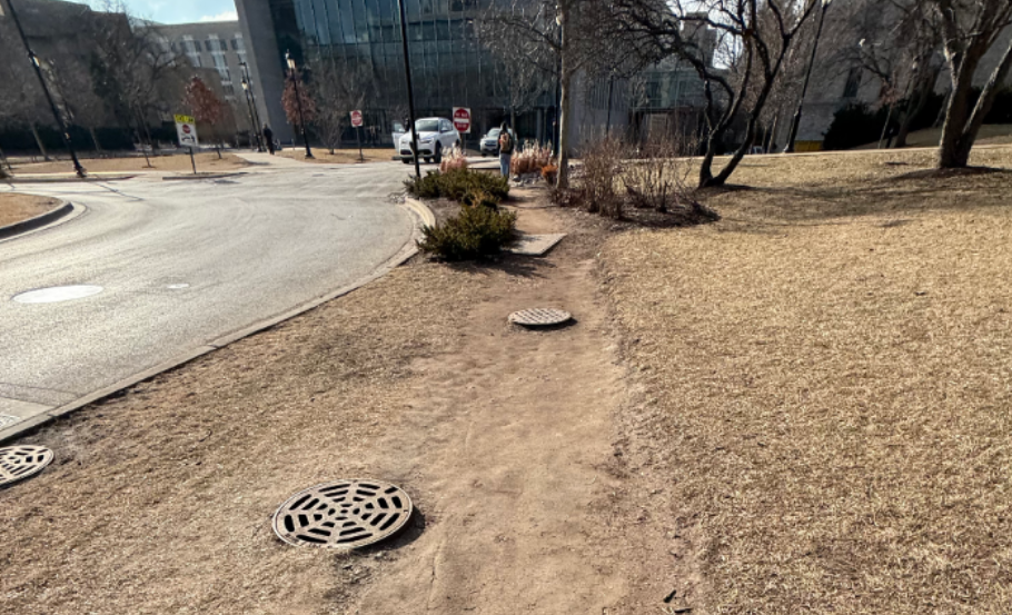 Charting their own path: How students carve their lives into nature