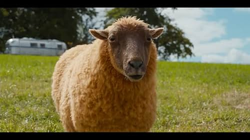 ‘The Sheep Detectives’ is surprisingly not so silly