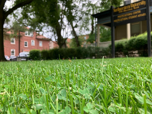 How the NU groundskeepers grow glistening green grass