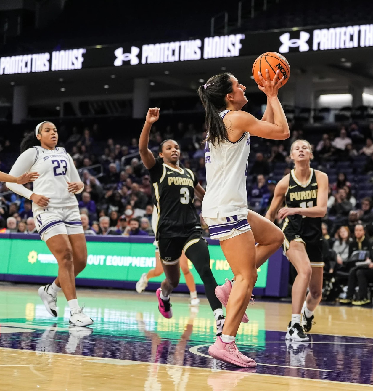 Women’s basketball season preview: Unfamiliar territory for the ’Cats